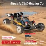 Electric Two-wheel Drive High Speed Remote Control Toy Car RC Model